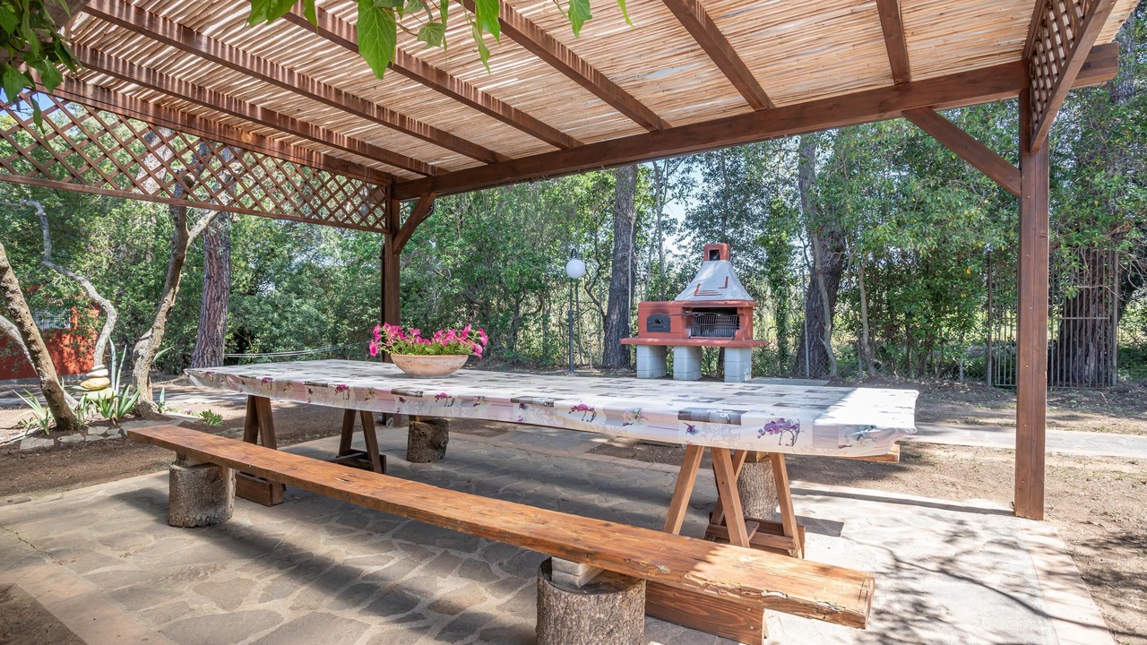 Photo of Outdoor in Scarlino