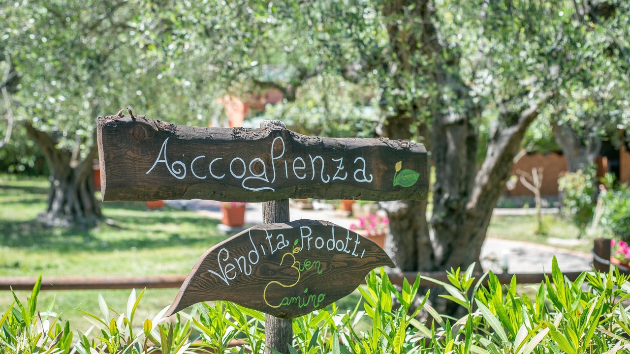 Photo of Outdoor in Scarlino