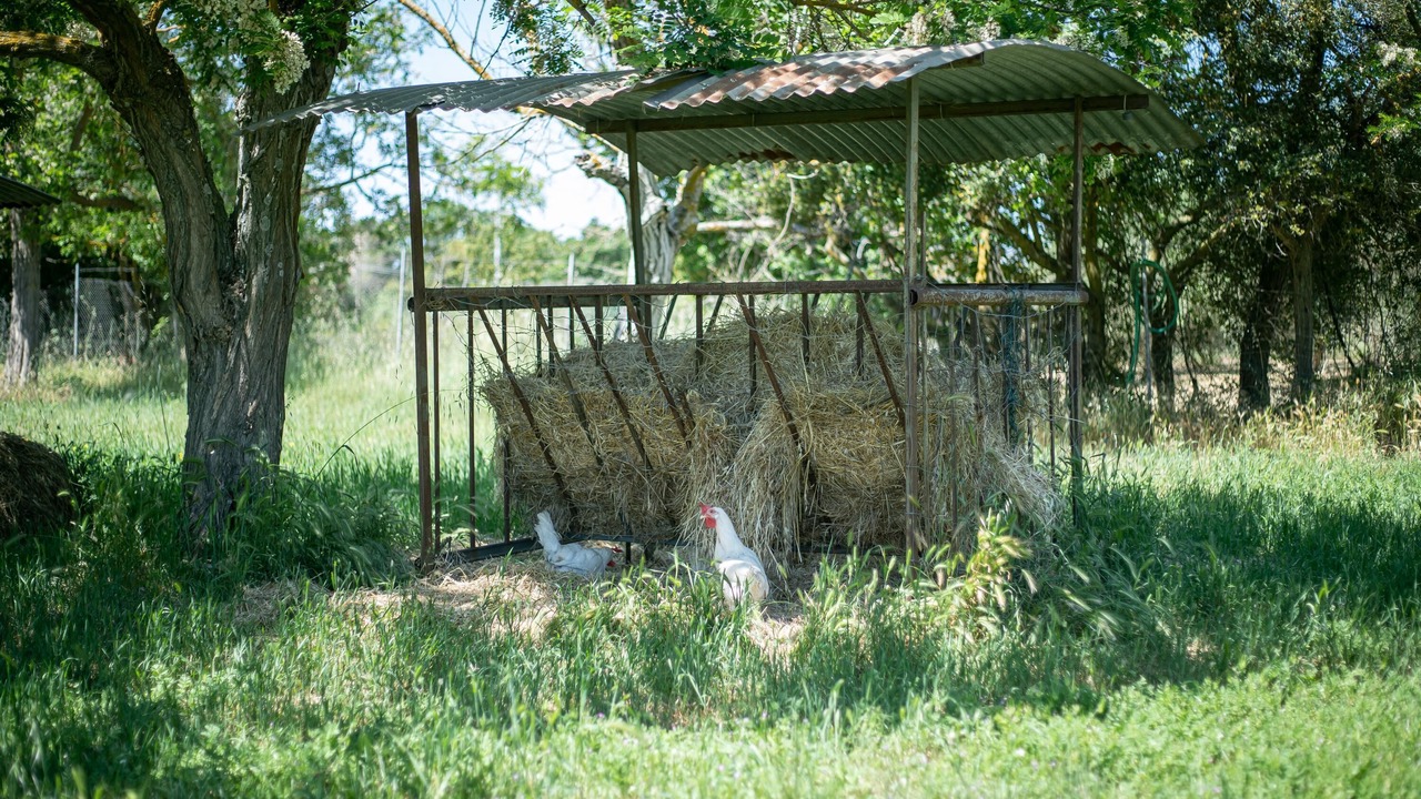 Photo of Outdoor in Scarlino