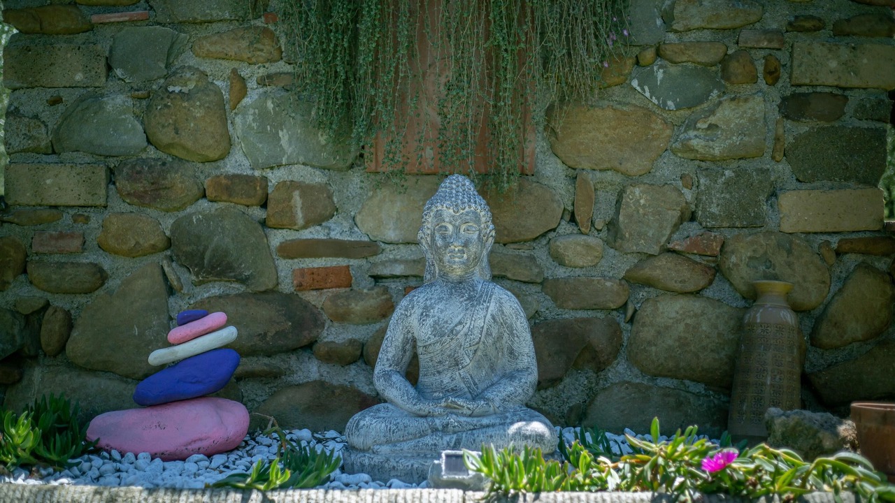 Photo of Outdoor in Scarlino