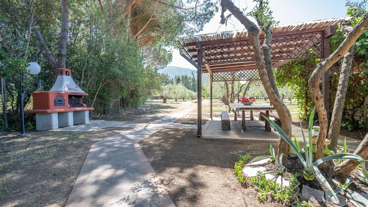 Photo of Outdoor in Scarlino