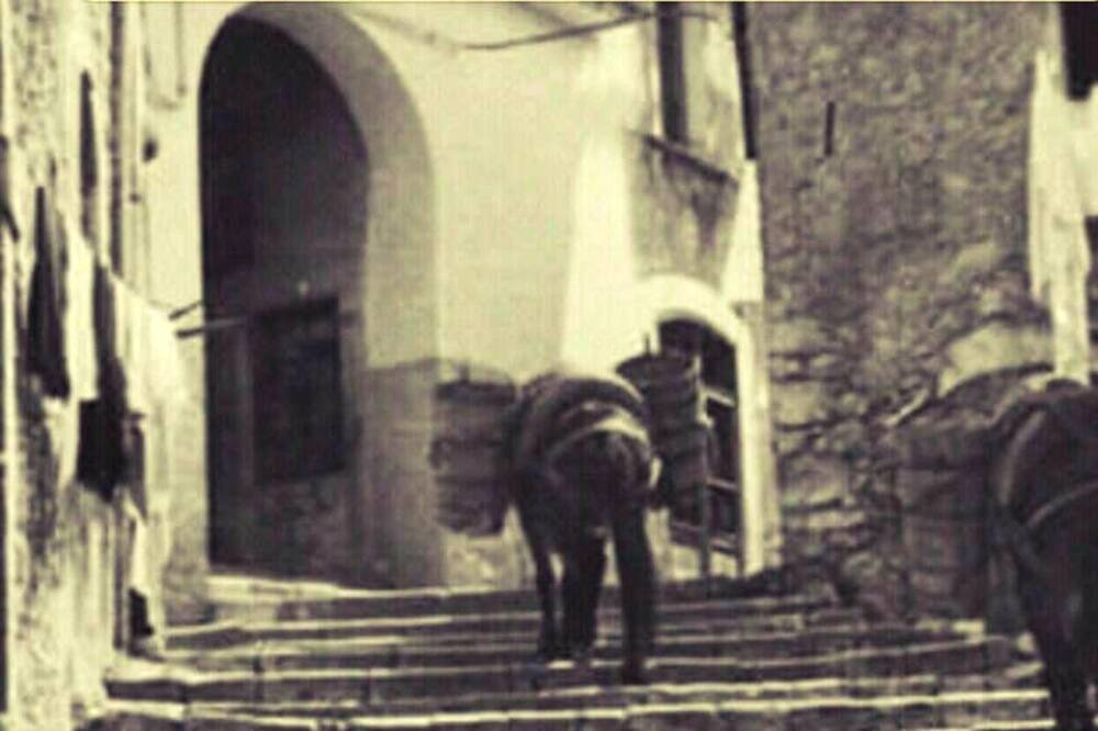 Photo of Others in Arce