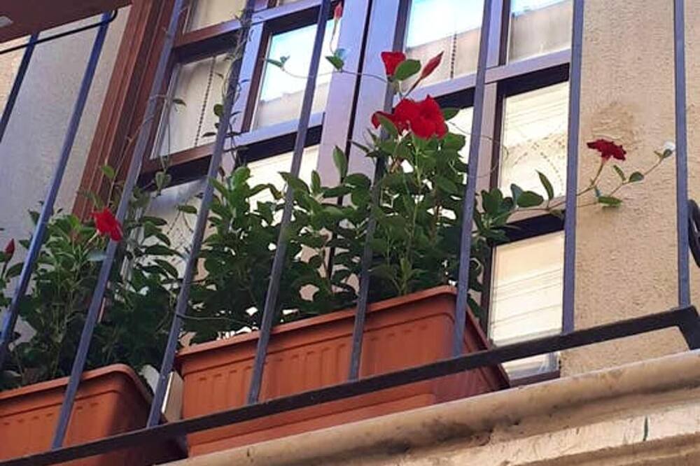 Photo of Patio Balcony in Arce
