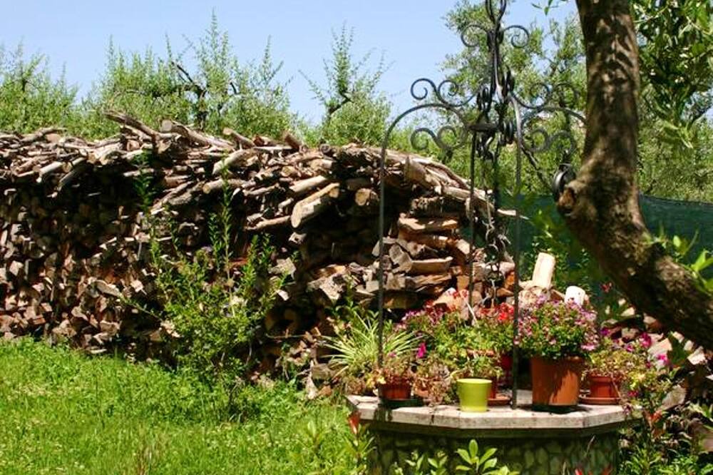 Photo of Outdoor in Mogliano