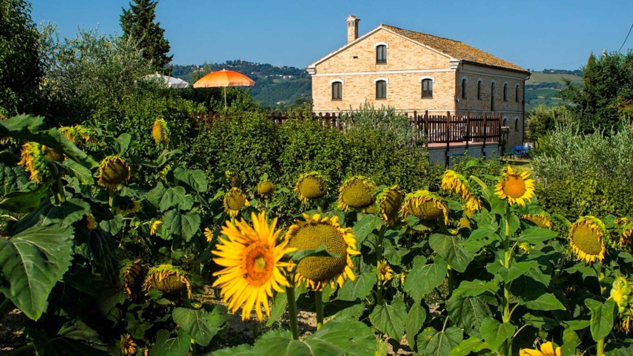 Photo of Others in Montecarotto