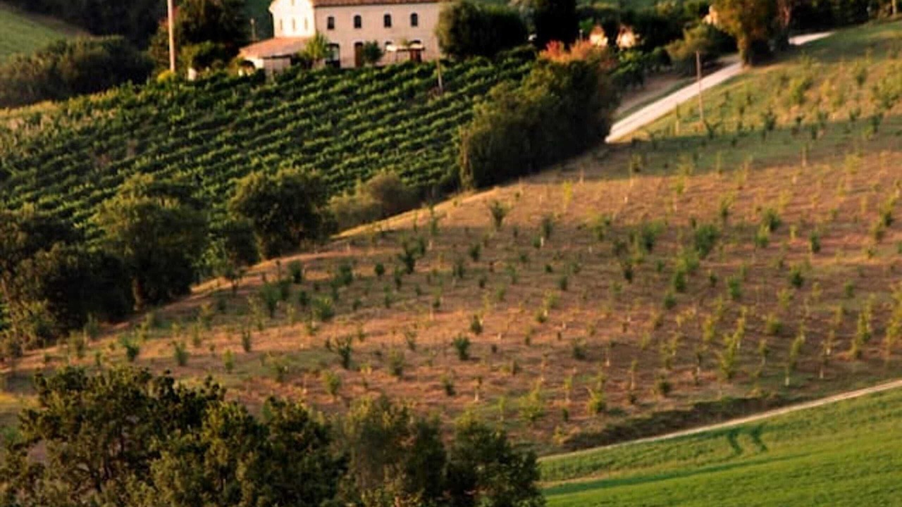 Photo of Outdoor in Montecarotto