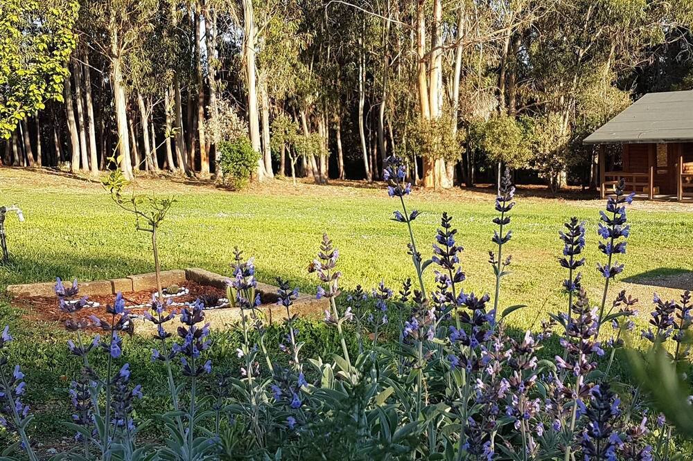 Photo of Outdoor in Bibbona