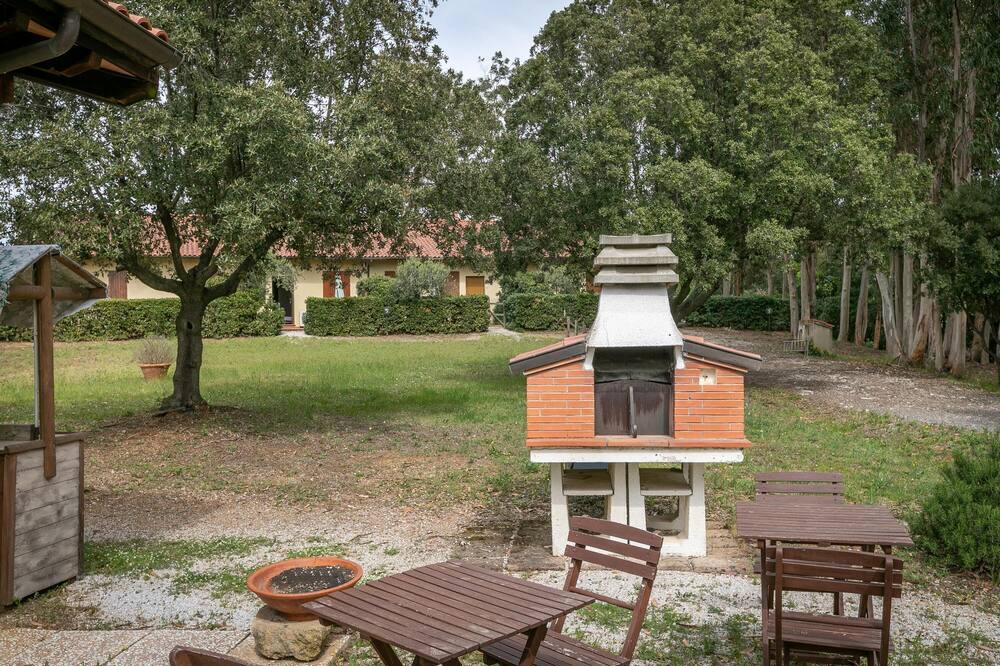 Photo of Outdoor in Bibbona