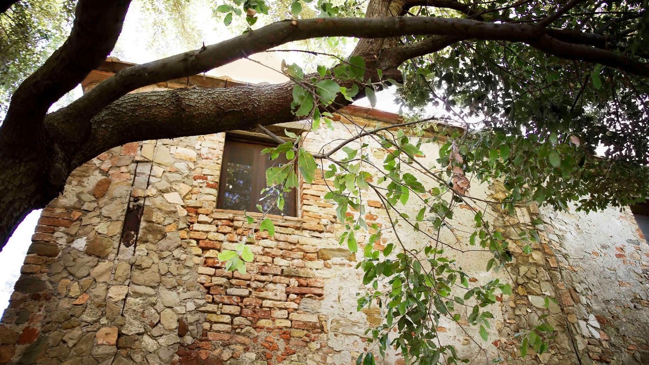 Photo of Outdoor in Gello