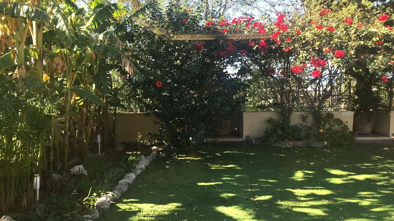 Photo of Outdoor in Campora San Giovanni
