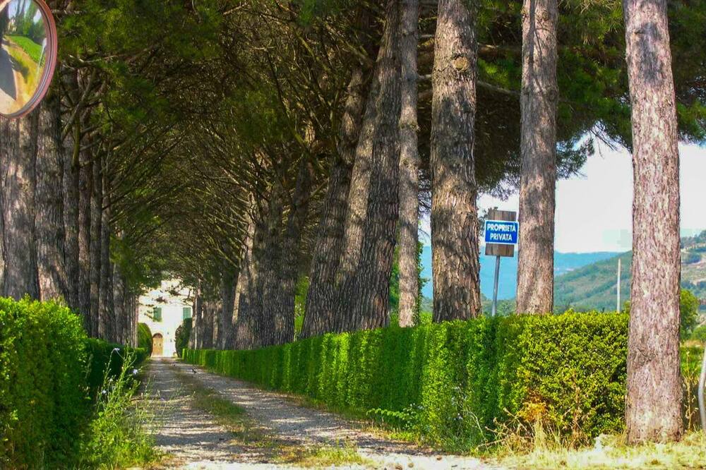 Photo of Others in San Giustino
