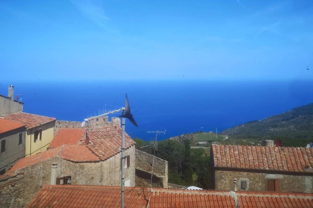 Photo of Others in Isola del Giglio