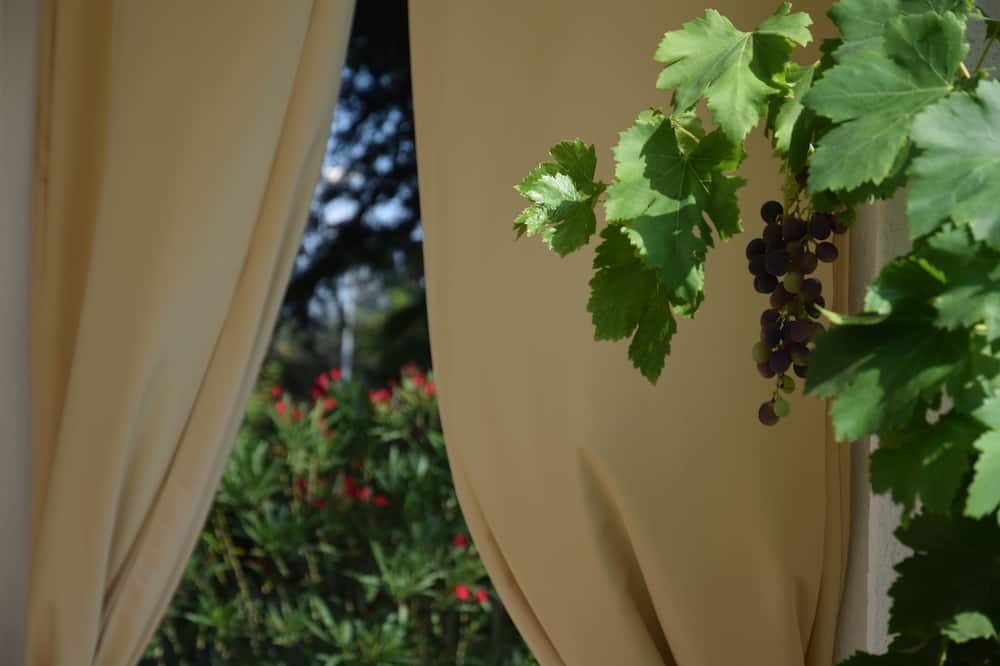 Photo of Outdoor in Monte San Vito