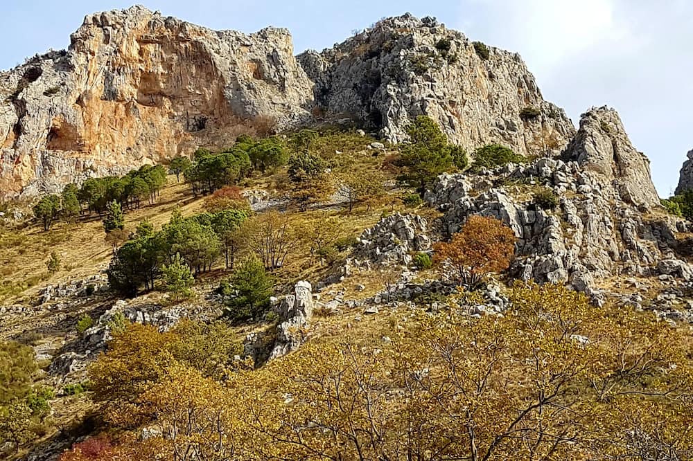 Photo of Others in Frascineto