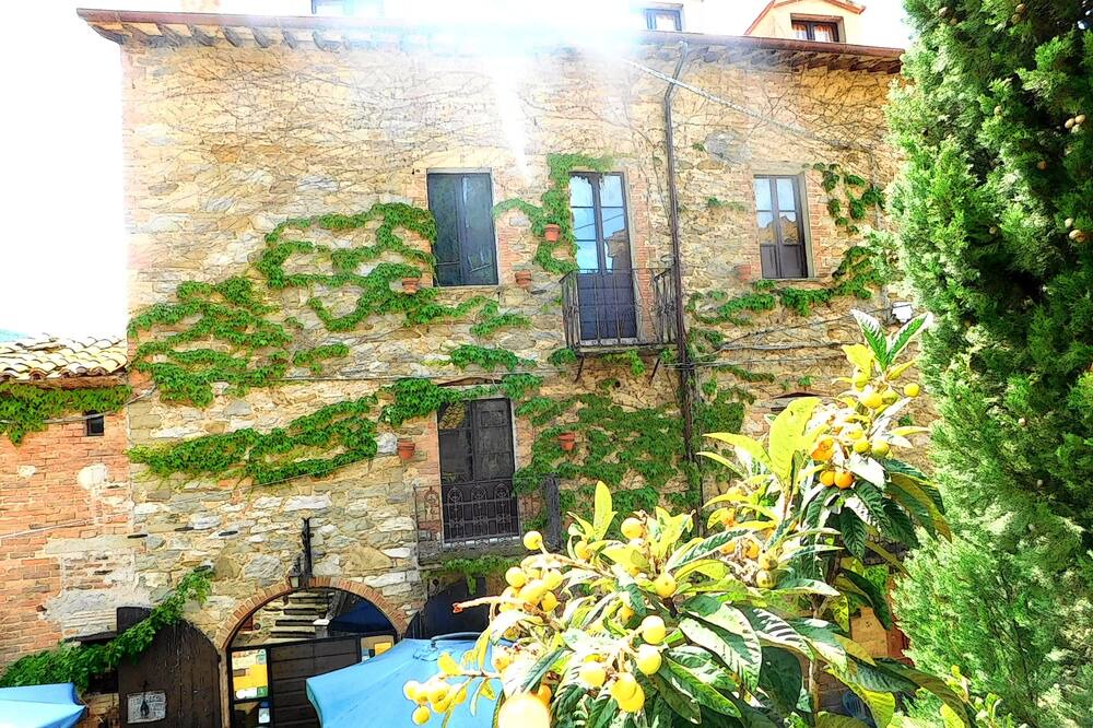 Photo of Outdoor in Magione