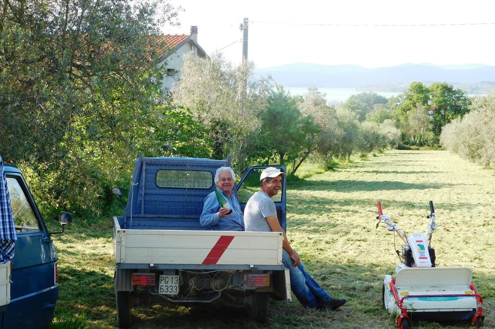 Photo of Outdoor in Magione