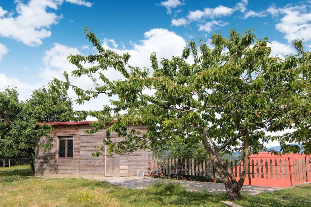 Photo of Outdoor in Bianchi