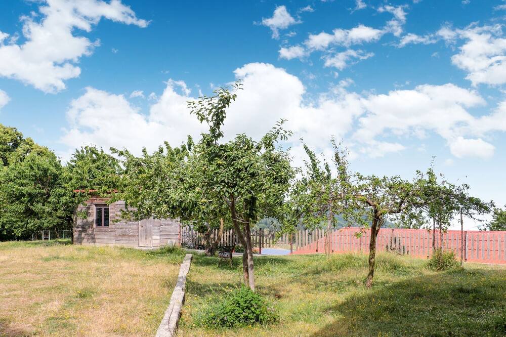 Photo of Outdoor in Bianchi