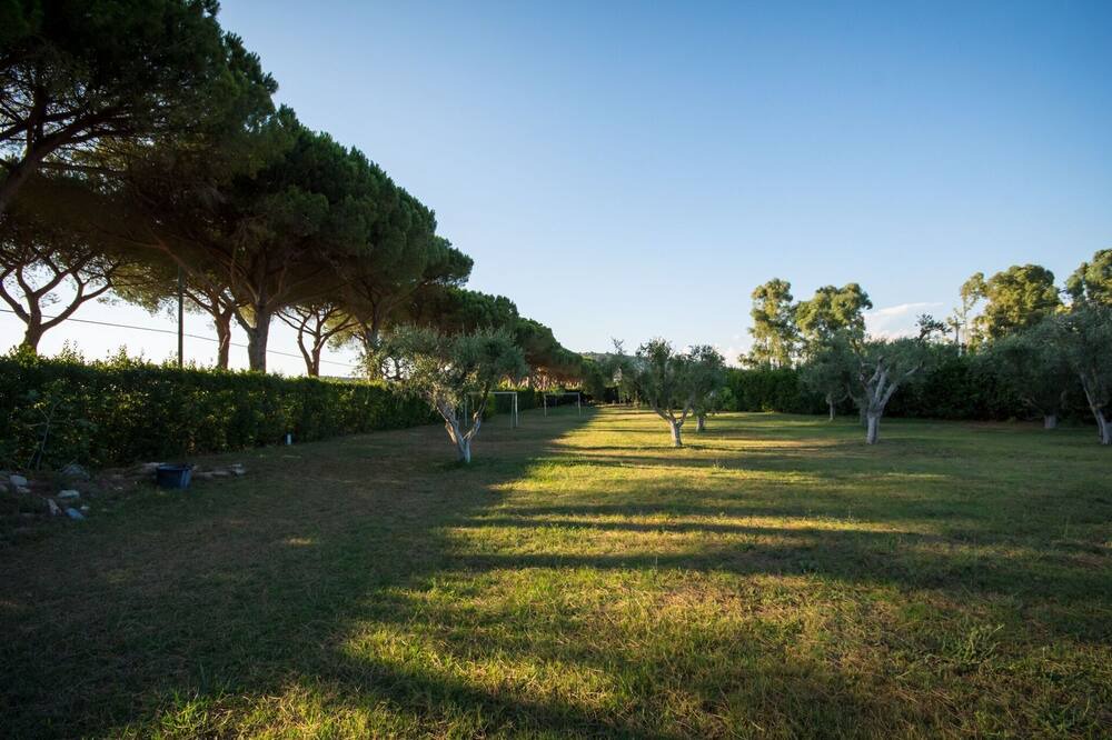Photo of Outdoor in Capalbio