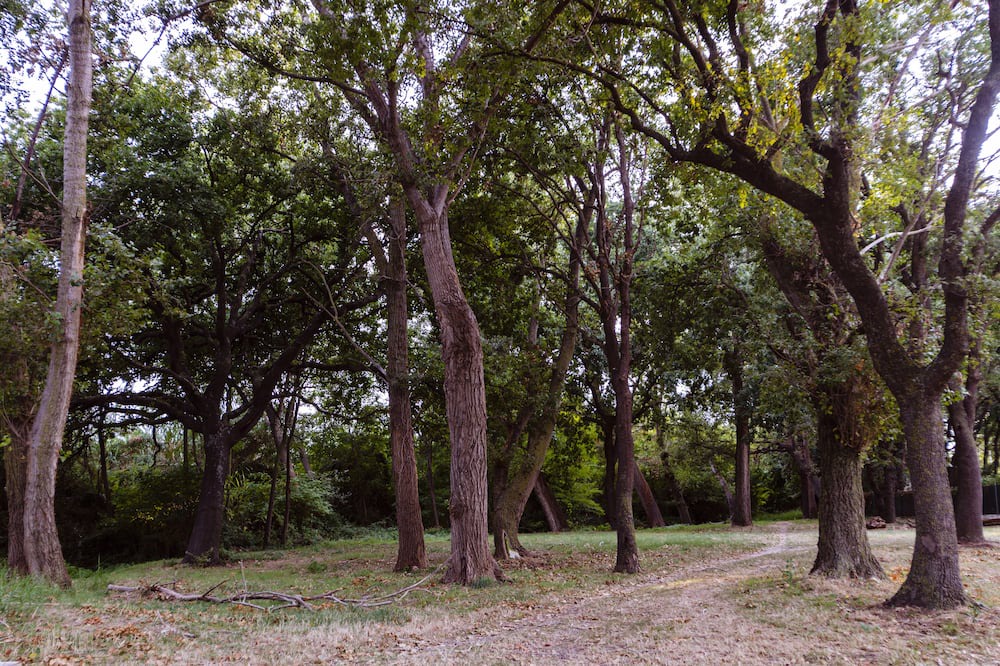 Photo of Outdoor in San Tommaso Tre Archi