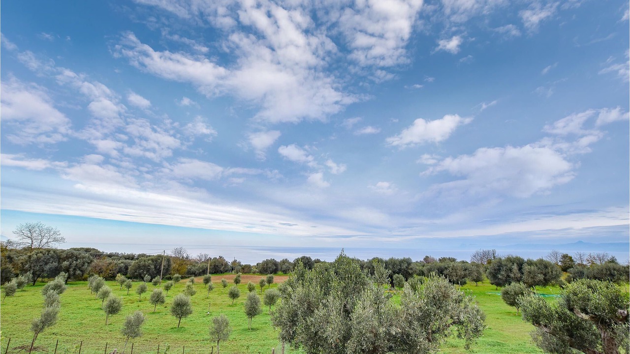Photo of Others in Zambrone