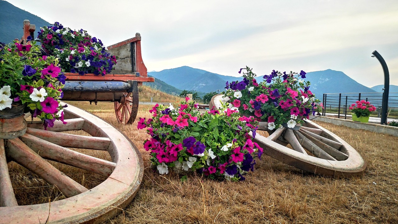 Photo of Outdoor in Matelica