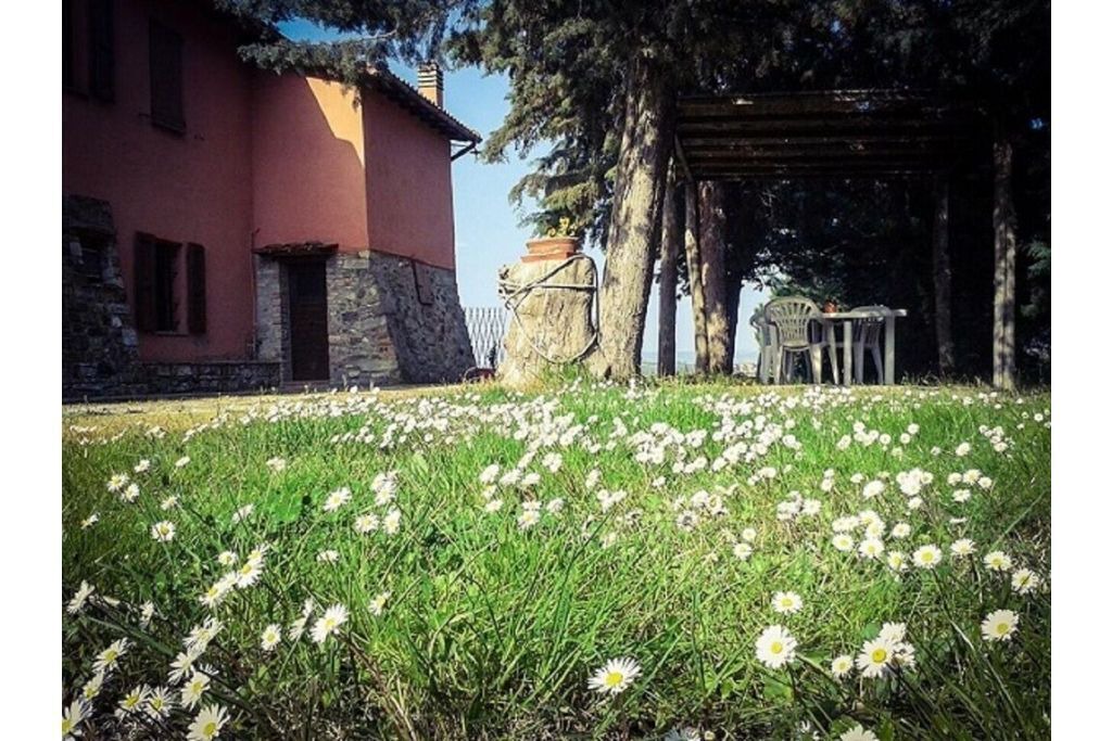 Photo of Outdoor in Teverina di Cortona
