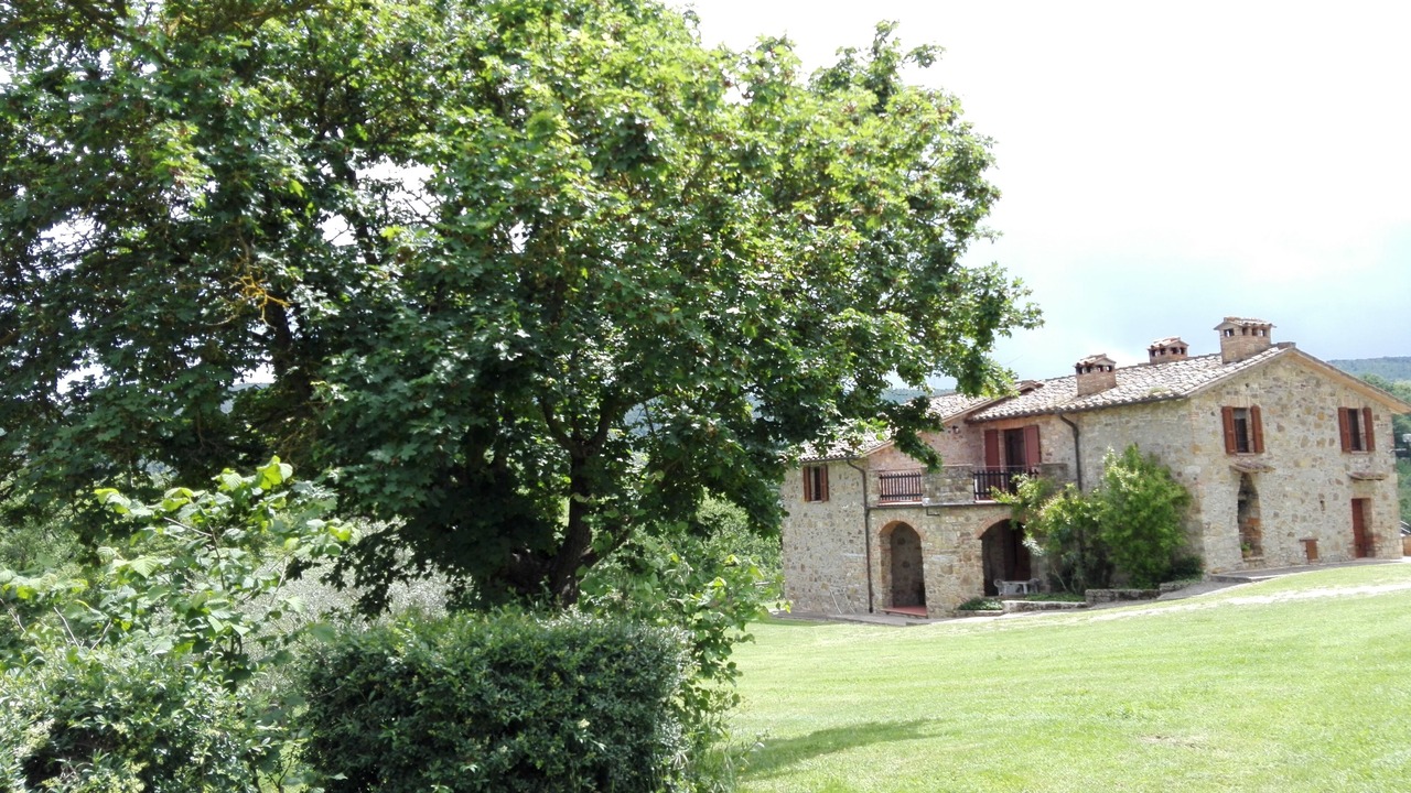 Photo of Outdoor in Piegaro