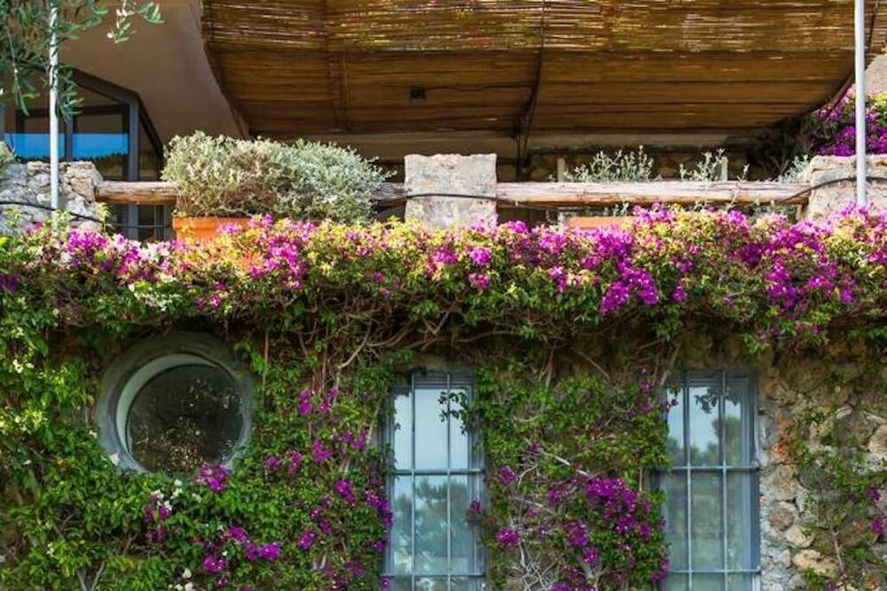 Photo of Outdoor in Porto Ercole