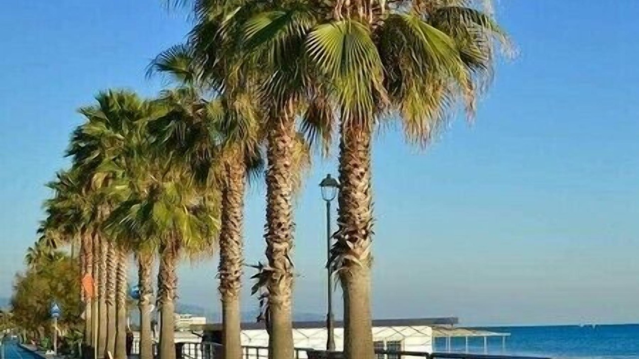 Photo of Outdoor in Terracina