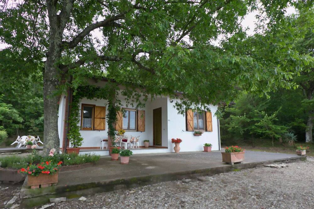 Photo of Outdoor in San Savino