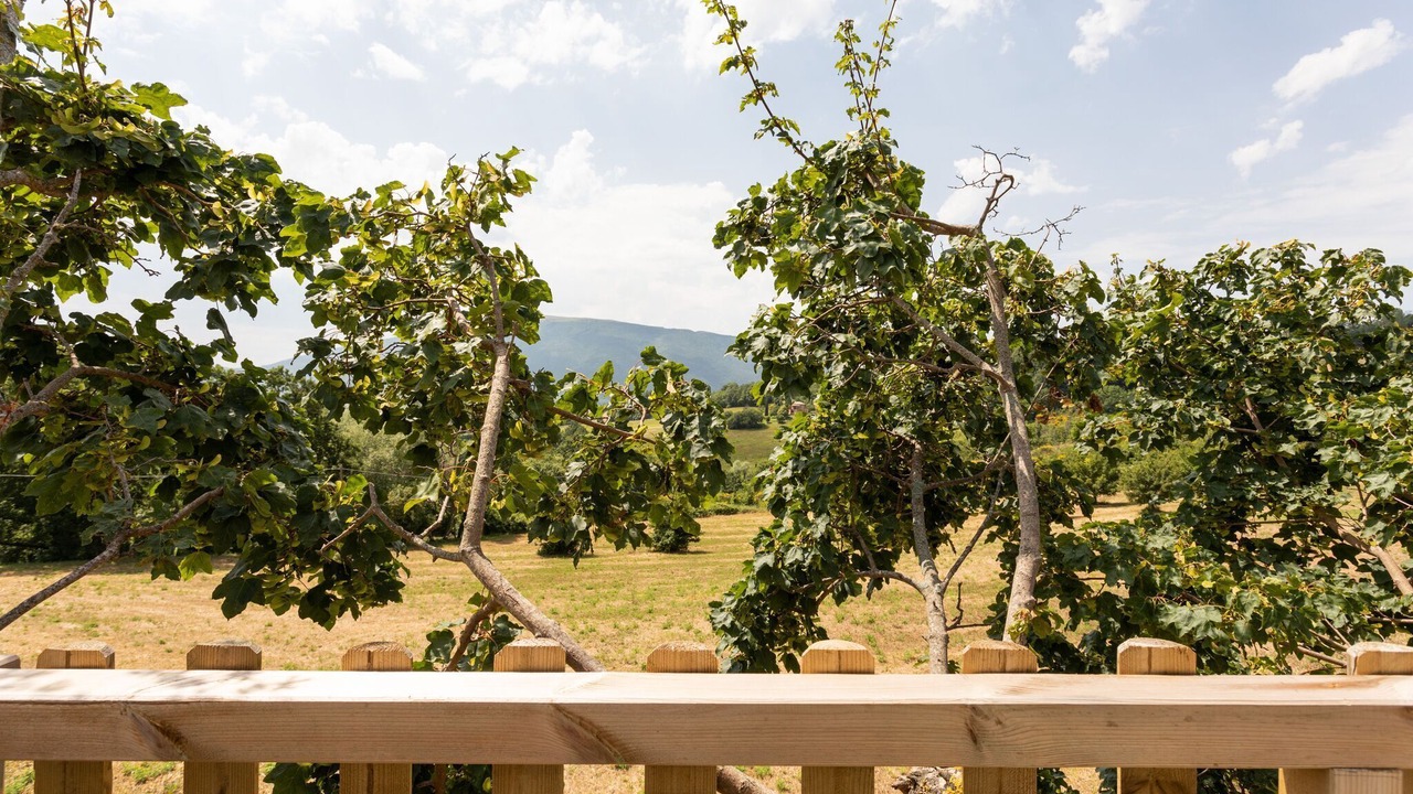 Photo of Outdoor in Assisi