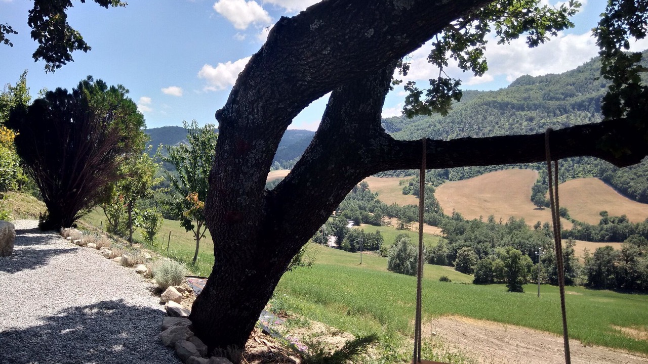 Photo of Outdoor in Pennabilli