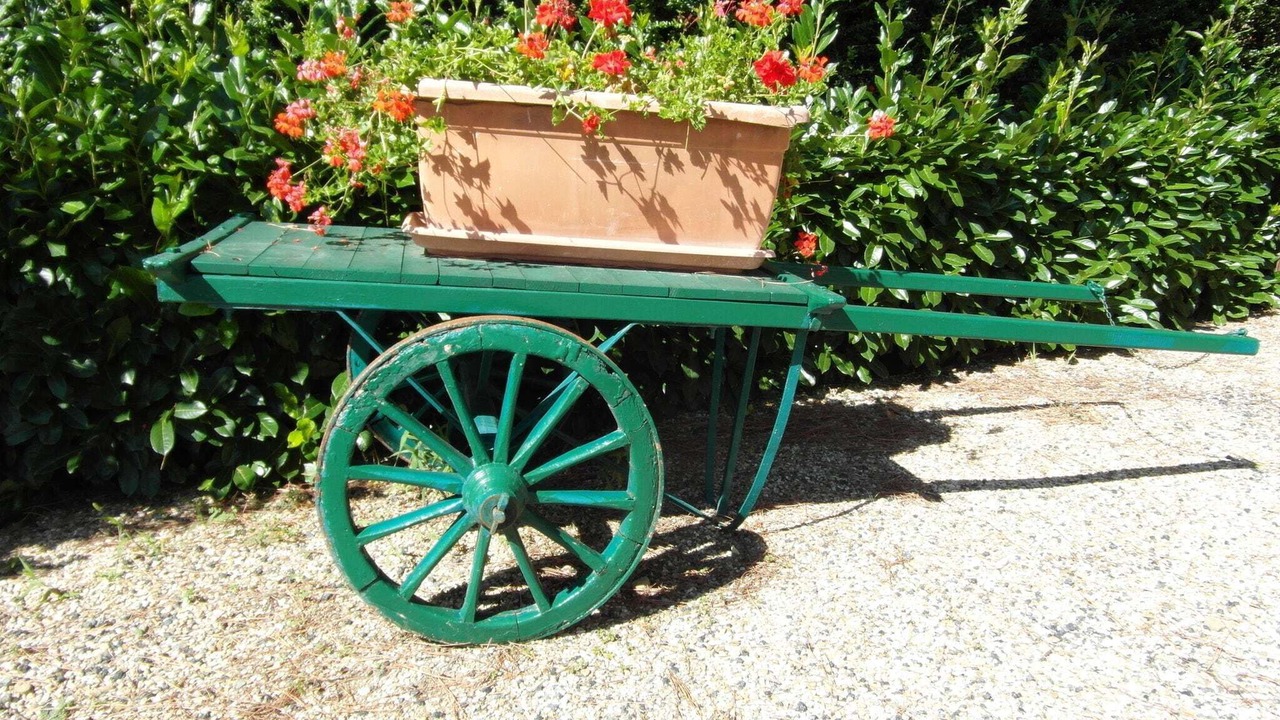 Photo of Outdoor in Monterchi