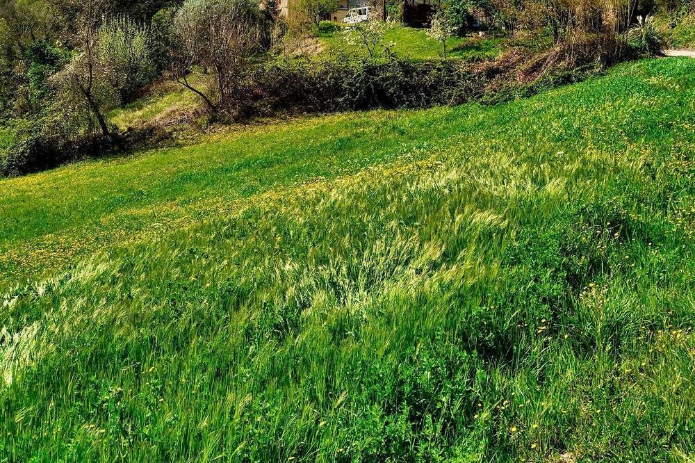 Photo of Outdoor in Arcevia