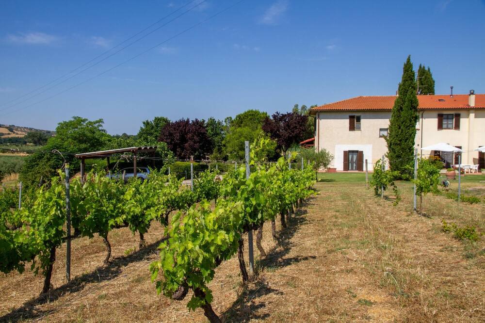 Photo of Outdoor in Grosseto