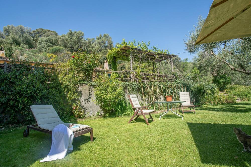Photo of Outdoor in Pescia Fiorentina