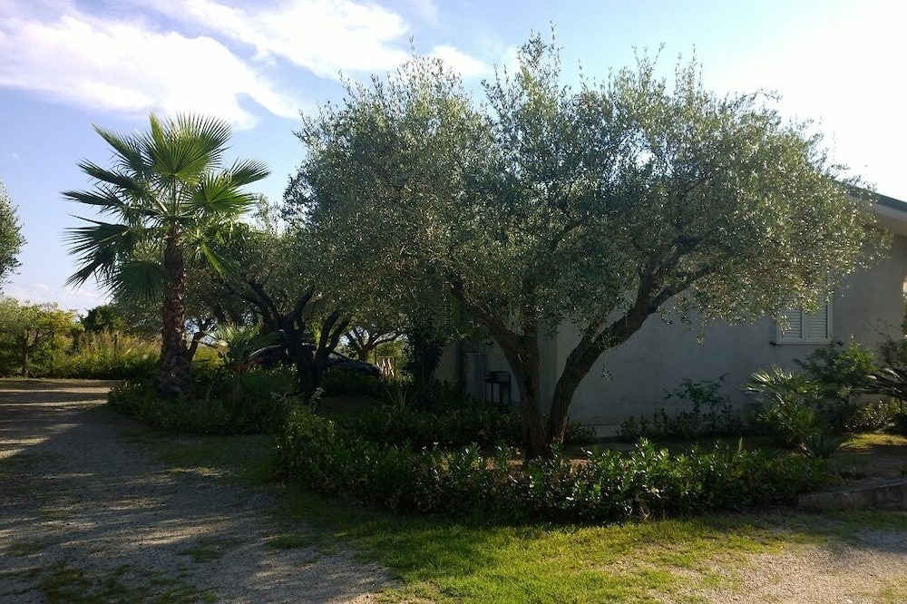 Photo of Outdoor in Ricadi