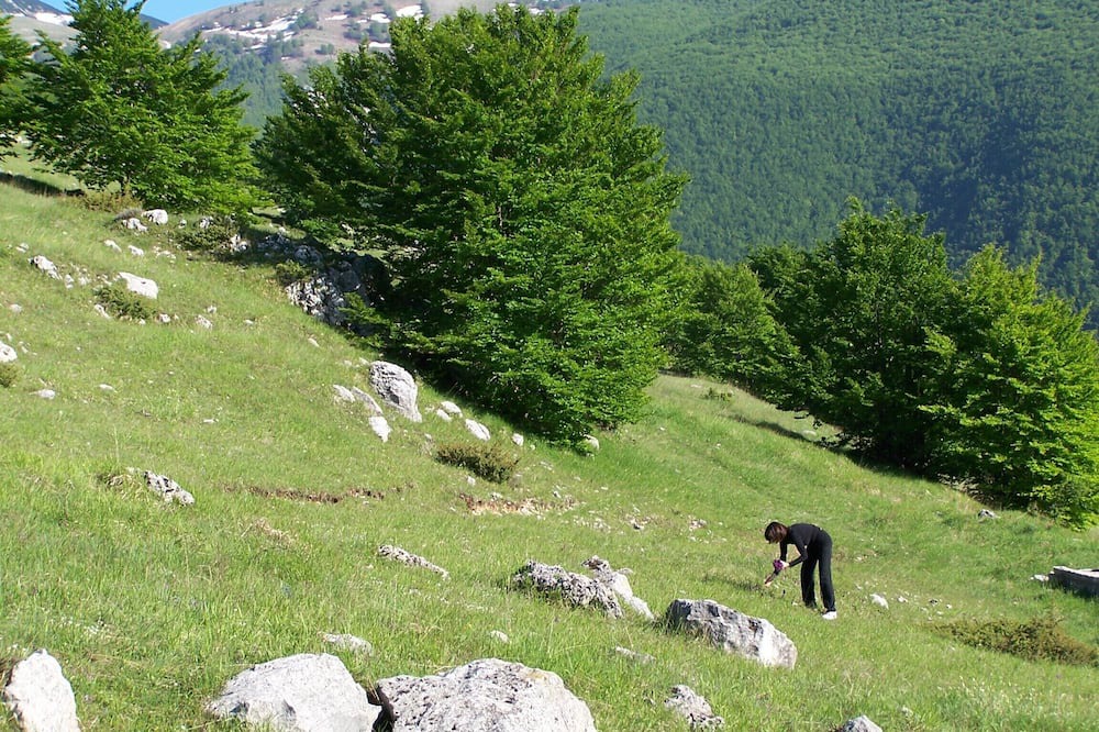 Photo of Others in Roccamorice