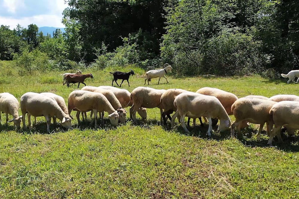 Photo of Outdoor in Roccamorice