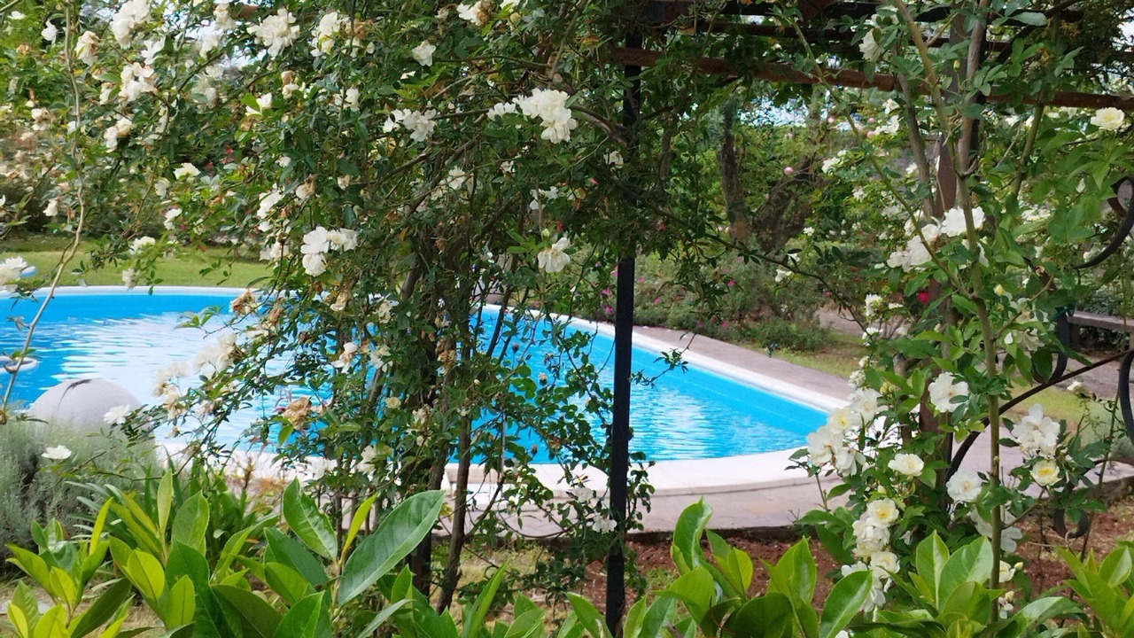 Photo of Outdoor in Cisterna di Latina