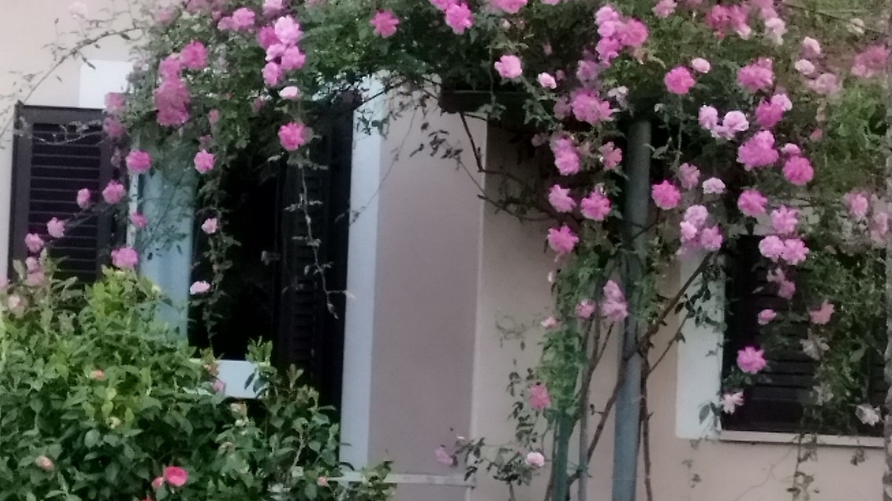 Photo of Outdoor in Cisterna di Latina