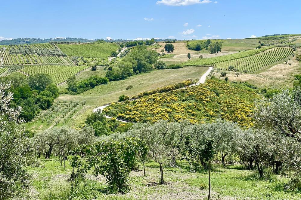 Photo of Outdoor in Paternopoli