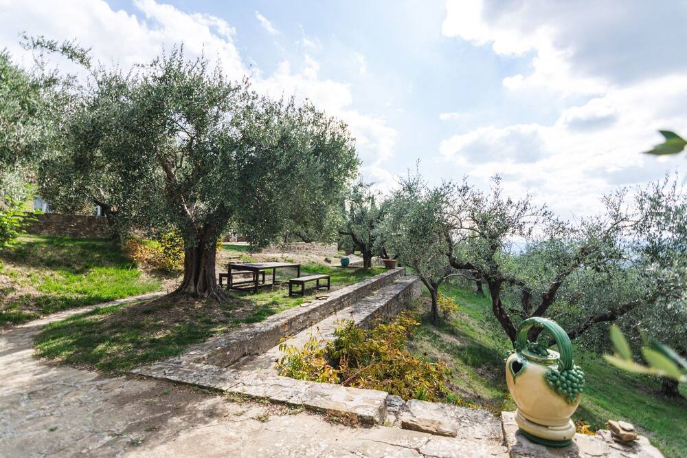 Photo of Outdoor in Montelovesco