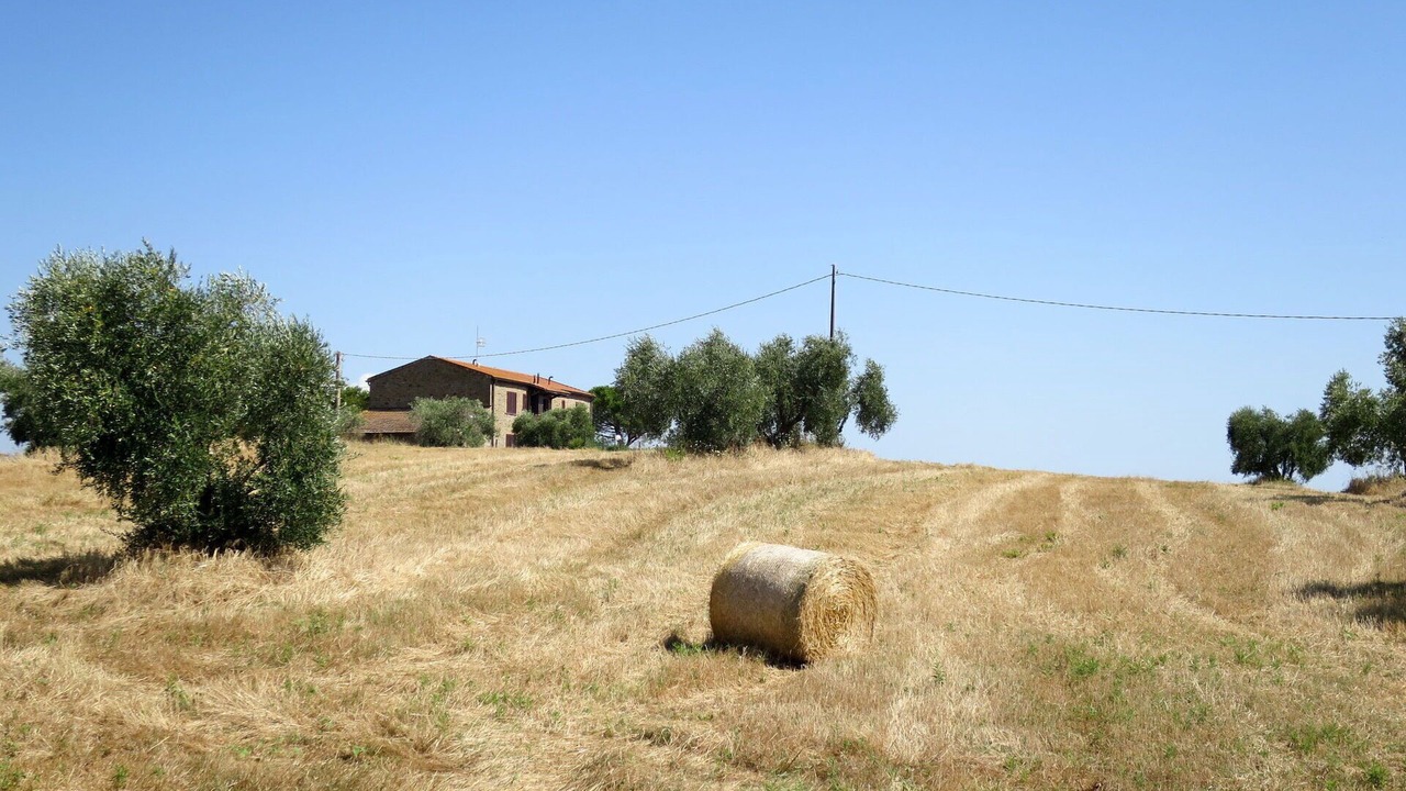 Photo of Outdoor in Magliano in Toscana