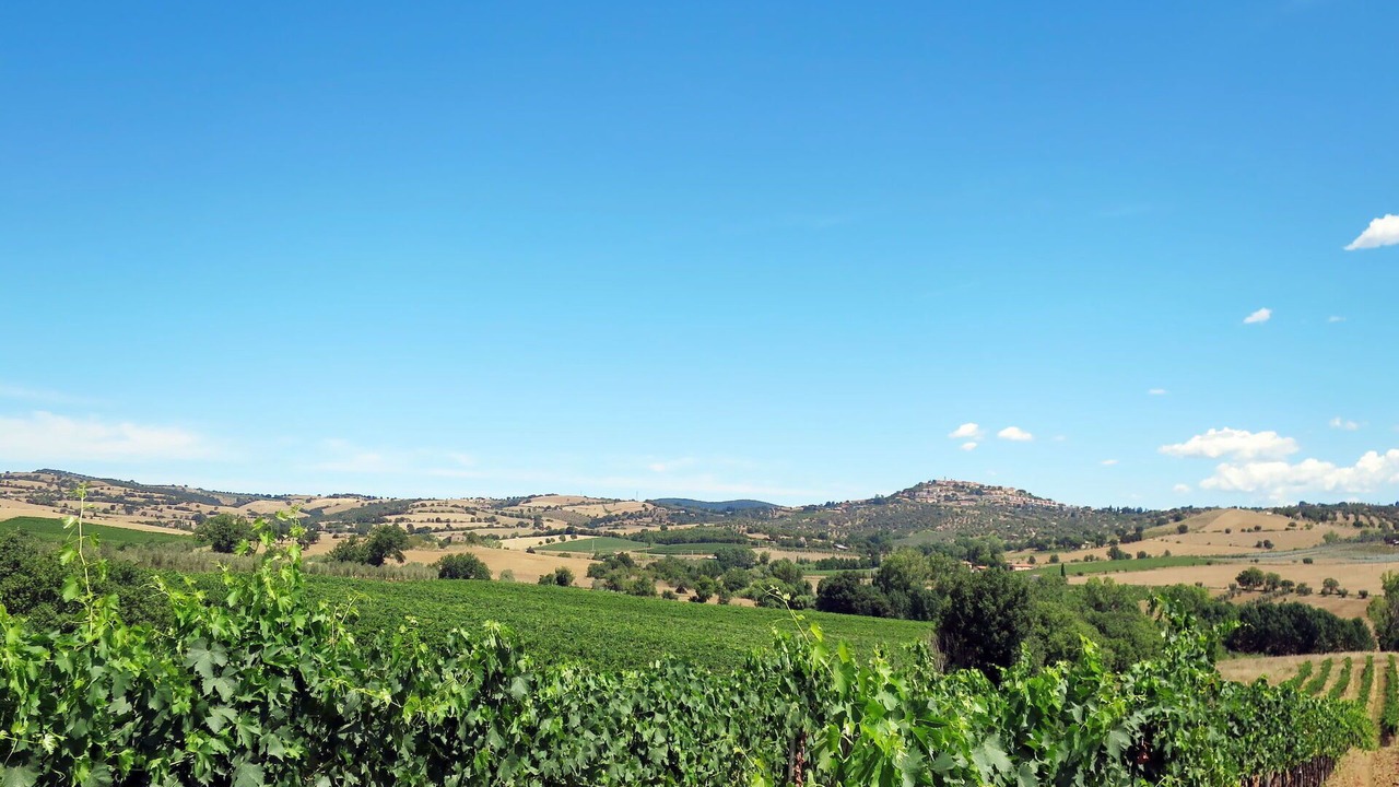 Photo of Outdoor in Magliano in Toscana