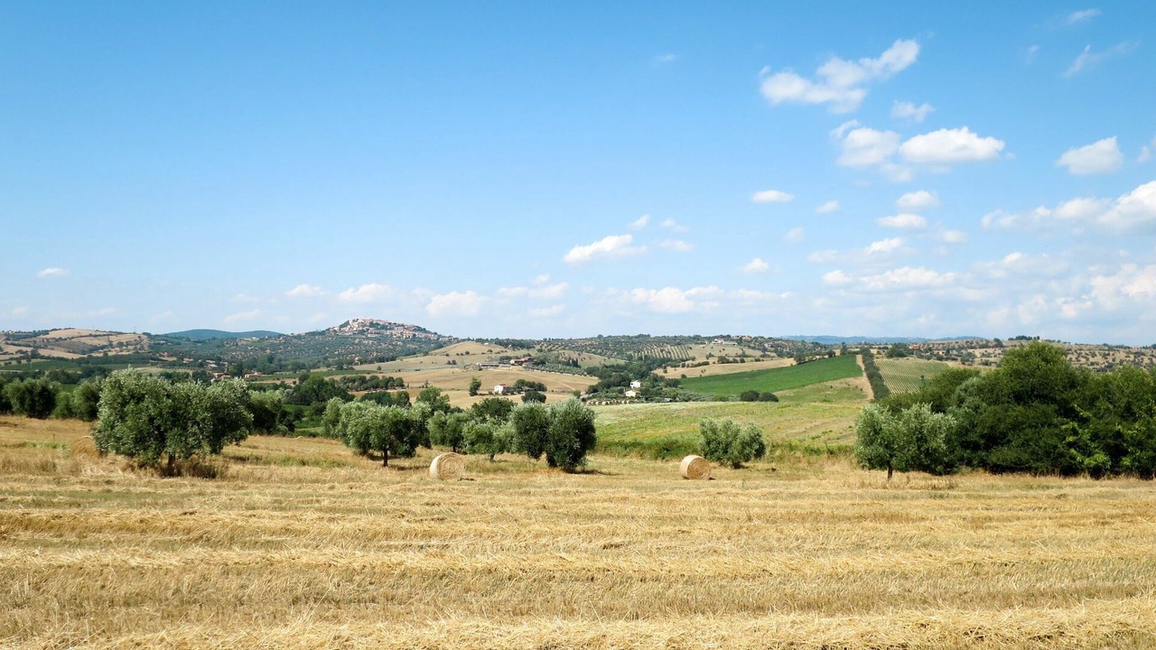 Photo of Outdoor in Magliano in Toscana
