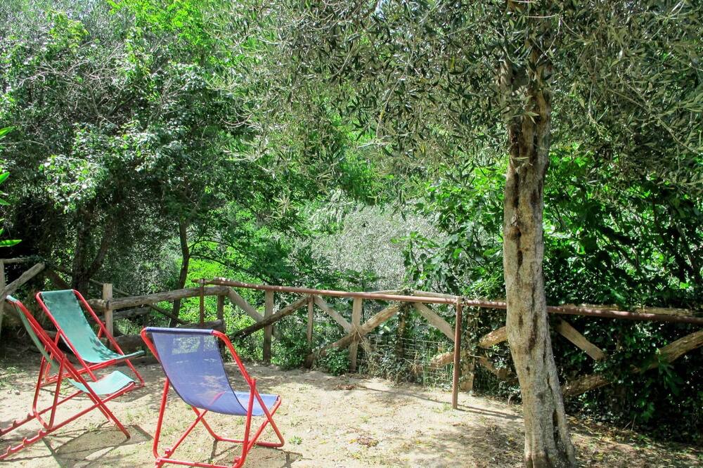 Photo of Outdoor in Scansano