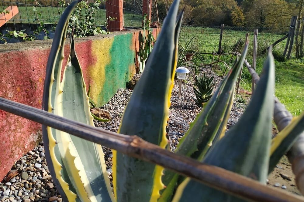 Photo of Outdoor in Attigliano