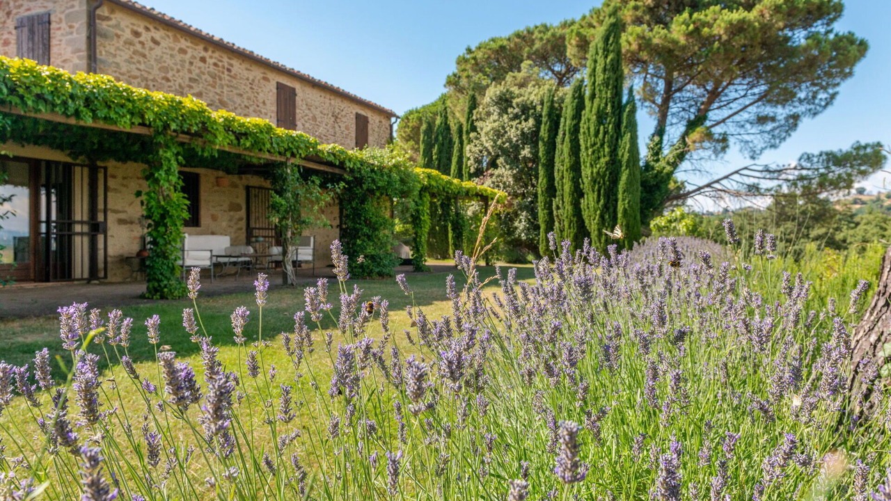 Photo of Outdoor in Scansano